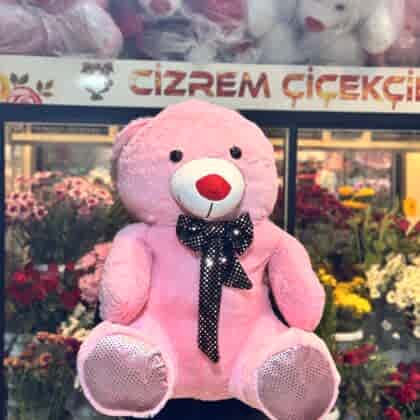 Ayıcıklar & Peluşlar